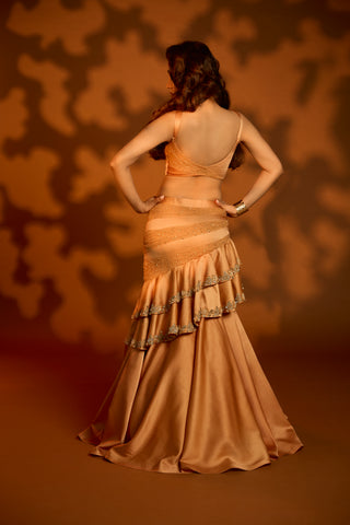 Majesty Alaya Lehenga Set