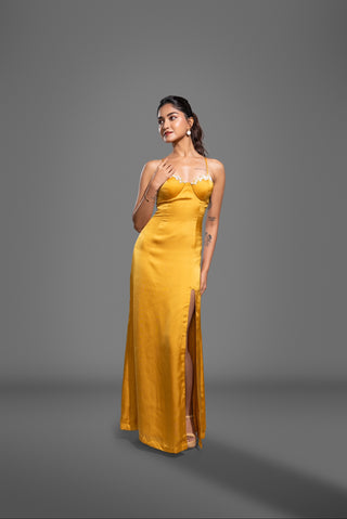 Golden Radiance