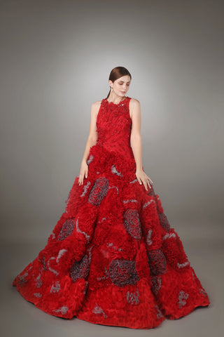 Crimson Enchantment Ball Gown