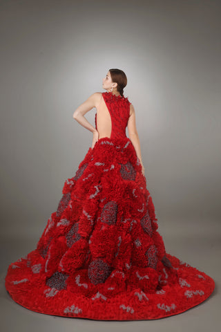 Crimson Enchantment Ball Gown